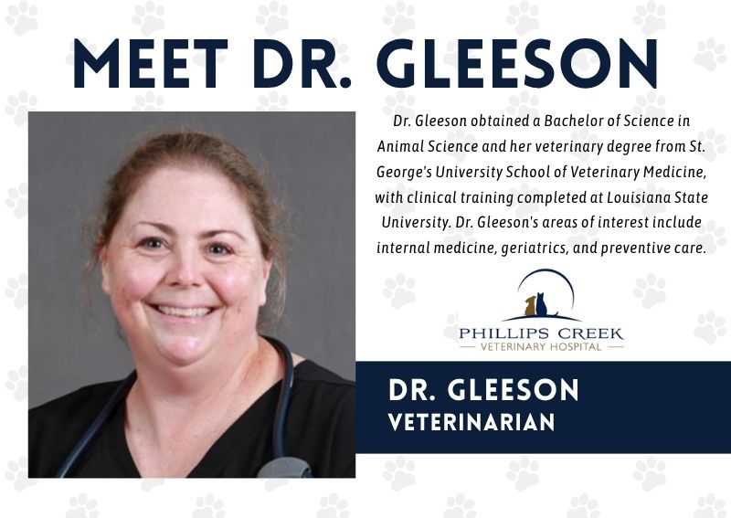 Carousel Slide 2: Meet Dr. Sophie Gleeson