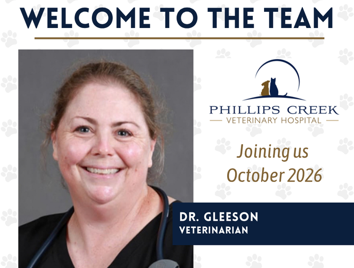 Welcome Dr. Sophie Gleeson to Phillips Creek Veterinary Hospital